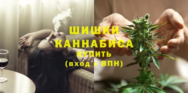 2c-b Каменка