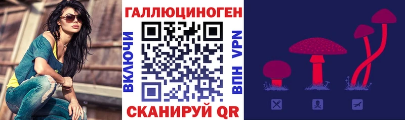 Купить закладки  Бирюч  Галлюциногенные грибы Psilocybine cubensis 
